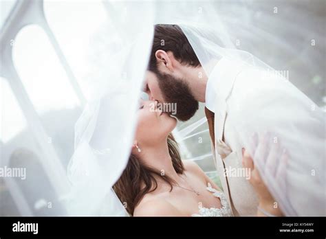 Bride And Groom Kissing Under The Veil Stock Photo Alamy