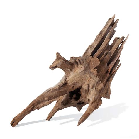 Galapagos Hollow Tree Root Driftwood Underground Reptiles