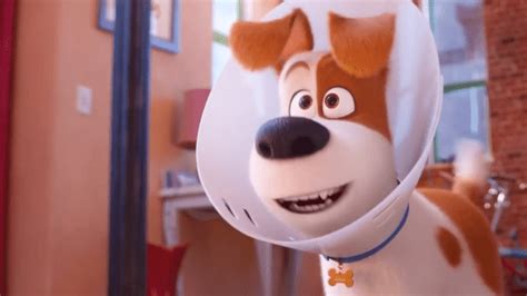 Review Film The Secret Life Of Pets 2 Gemes Dan Nakalnya Binatang