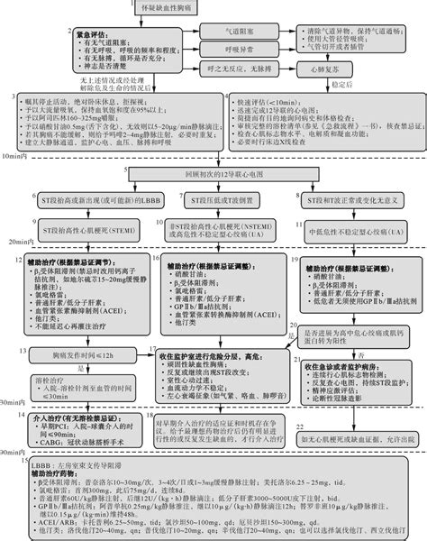 第三节 急性冠状动脉综合征 急危重症处理流程 医学