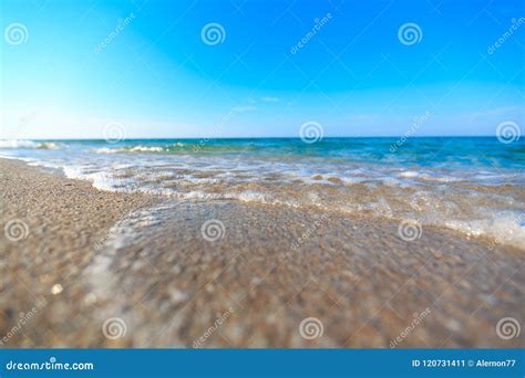 Sea beach and blue sky stock image. Image of seascape - 120731411