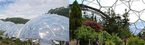 Biomimicry - Designs Inspired By Nature