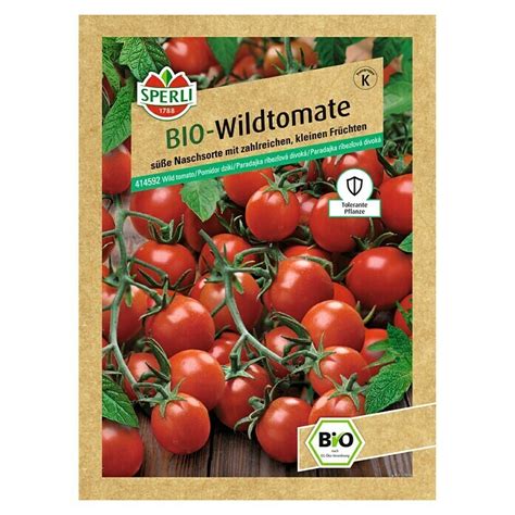 Sperli Gem Sesamen Bio Wildtomaten Solanum Pimpinellifolium Saatzeit