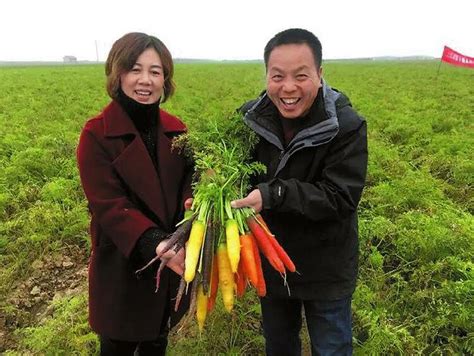 渭南市大荔县：小小红萝卜 振兴大产业 国际在线