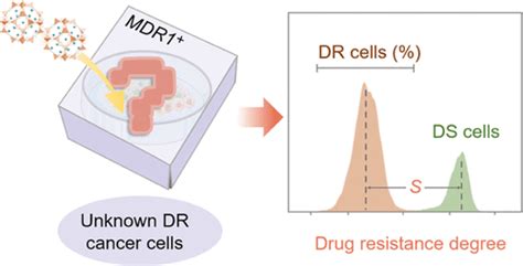 Multidimensional Quantitative Measurement Of Cancer Chemoresistance Through Differential Zif 8