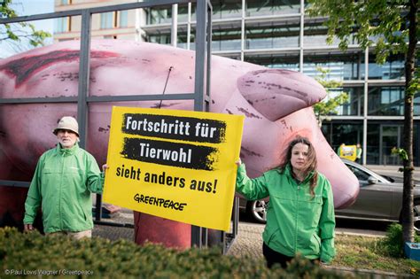 Greenpeace Protest „fortschritt Für Tierwohl Sieht Anders Aus