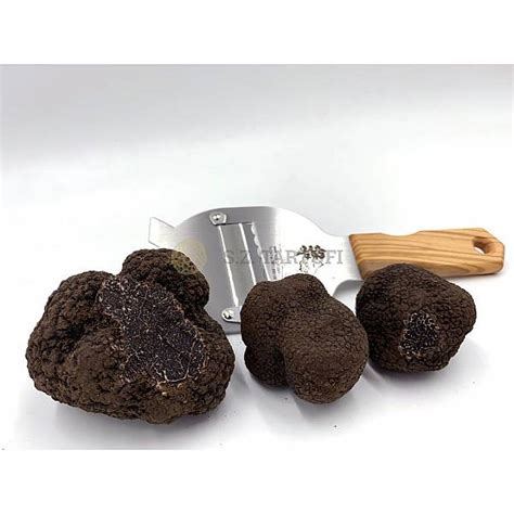 Tartufo Nero Pregiato Fresco Prima Scelta Tuber Melanosporum Vitt