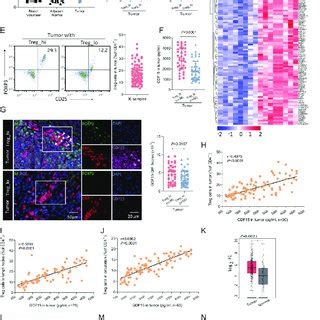 Growth Differentiation Factor Gdf Induces The Generation Of