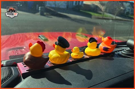 How To Get Ducks To Stay On Jeep Dash Expert Tips For A Quacky Adventure