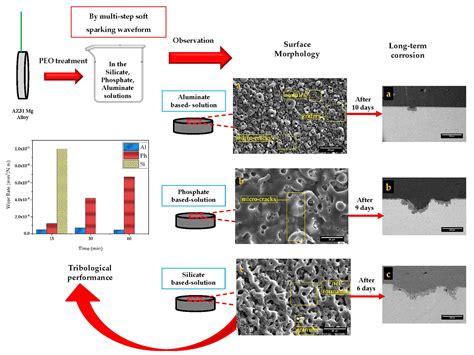 Coatings Free Full Text The Effect Of Electrolytic Solution