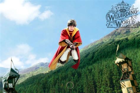 Gryffindor Quidditch Team Flying