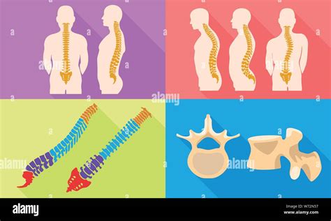 Spine Icons Set Flat Set Of Spine Vector Icons For Web Design Stock