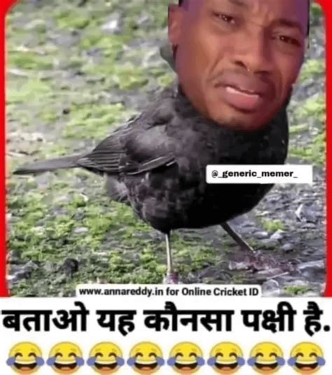 National bird🤣👉👉 : r/okbhaibudbak