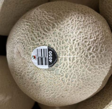 Canadian officials confirm cantaloupe link to outbreak of Salmonella illnesses | Food Safety News