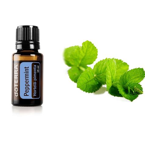 Leo Essencial De Hortel Pimenta Peppermint Doterra Ml Submarino