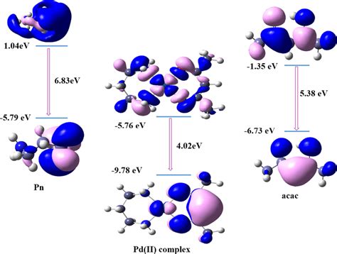 Frontier Molecular Orbitals HOMO And LUMO Of The Pd II Complex And