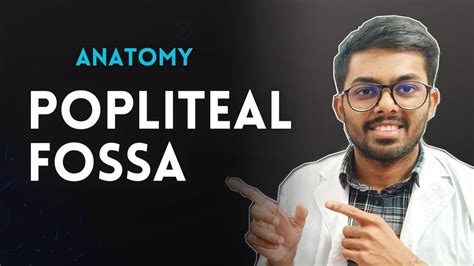 Popliteal Fossa Boundary Contents Steps Of Dissection White Apron