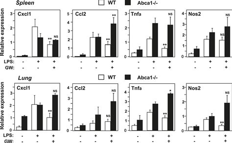 Figures And Data In Lxrs Link Metabolism To Inflammation Through Abca1 Dependent Regulation Of