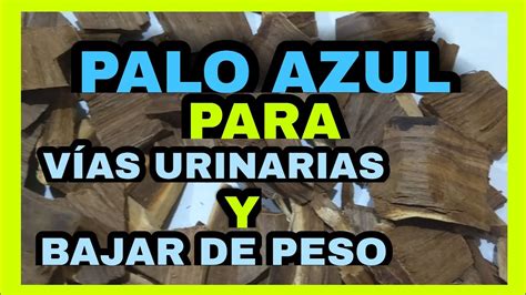 Descubre Los Increíbles Beneficios Y Usos Del Agua De Palo Azul ¡la Solución Natural Que Estás