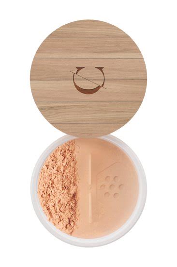 Fond de teint Minéral Bio - Couleur Caramel - Produit Classique - 21 ...