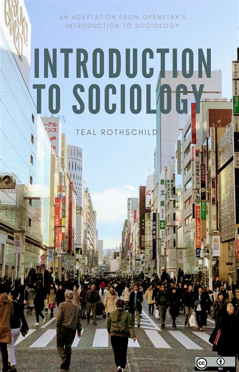 Rothschilds Introduction To Sociology Simple Book Publishing