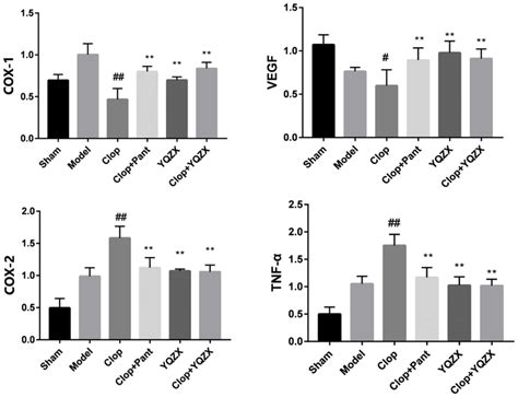 Cox 1 Cox 2 Tnf α And Vegf Mrna Expressions Note Compared With