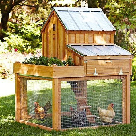 8 Adorable Chicken Coops To Inspire Your Next Backyard Project Eatwell101