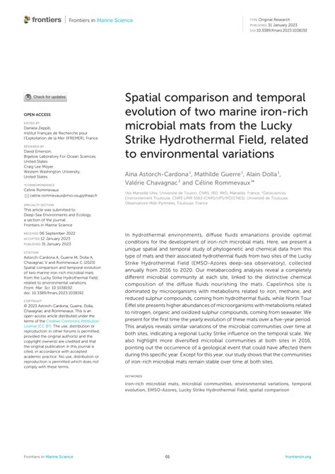 PDF Spatial Comparison And Temporal Evolution Of Two Marine Iron Rich