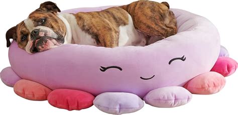 Reviews of The Top-Rated Squishmallow Dog Bed 2023