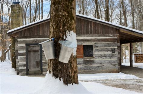 These Central Ohio Maple Syrup Festivals Are The Sweetest