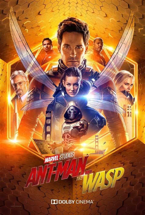 Ant Man And The Wasp 12 Of 18 Extra Large Movie Poster Image IMP