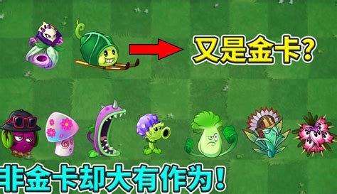 【兰古瑞萨der】植物大战僵尸2：盘点非金卡的优秀植物！ 15万粉丝159点赞游戏视频 免费在线观看 爱奇艺