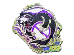 Sticker Outsiders Holo Rio 2022 Buy Sell And Trade On DMarket