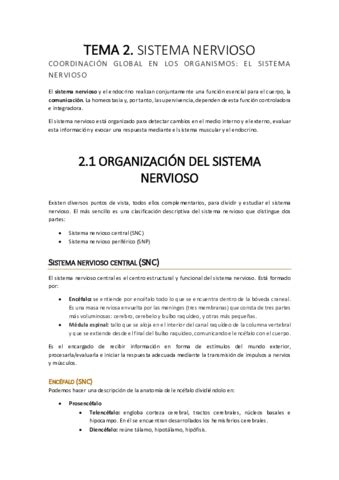 Tema Sistema Nervioso Pdf