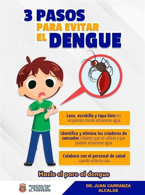 Conoce Los Tres Pasos Para Prevenir El Dengue NBKomputer