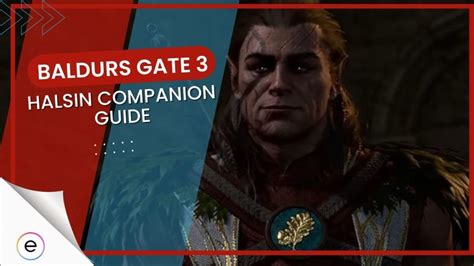 Baldurs Gate 3 Halsin Companion [guide]