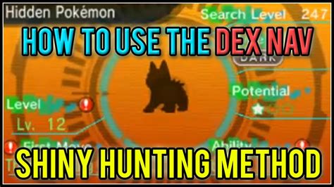 How To Use The Dexnav And Dexnav Sneak Shiny Hunting Method Pokemon