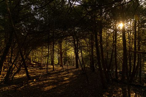 Gallery – Marlow Bottom Parish Council