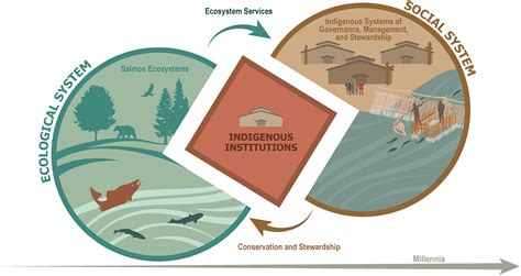 Mismatches In Salmon Social Ecological Systems Challenges And Opportunities For Re Alignment