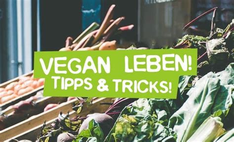 Vegan Leben 11 Tipps Zum Veganen Start CareElite