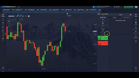 Erfolgreich Bin Re Optionen Handeln Auf Pocket Option Tipps