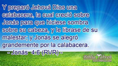 Jonás 46 Rvr Y Preparó Jehová Dios Una Calabacera La Cua