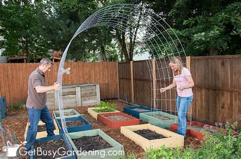 Cattle Panel Trellis Diy How To Make An Arch Tunnel For Your Garden