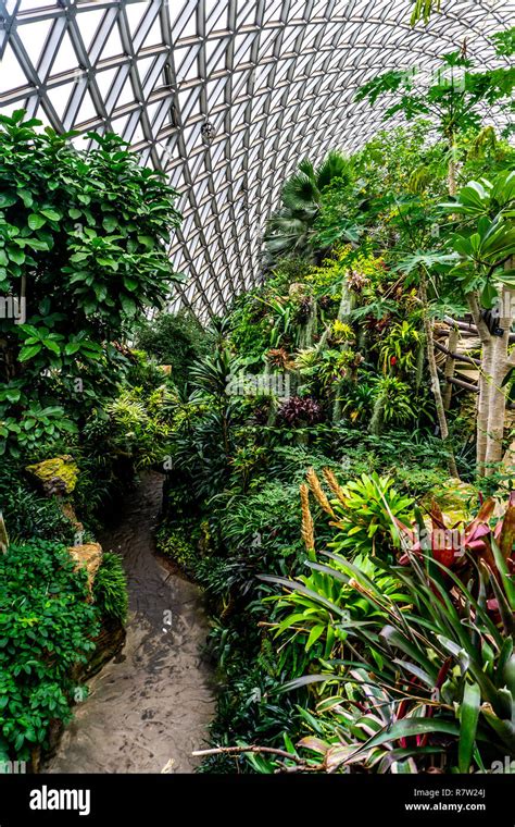 China Shanghai Botanical Garden Greenhouse Humid Subtropical Climate ...