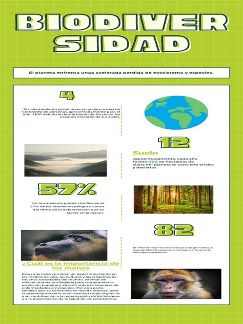 Biodiversidad Infografías Pdf Tierra Entorno Natural