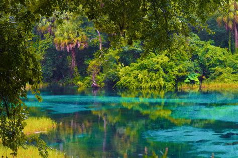 The Top Things To Do In Citrus Springs Florida Deltona Homes