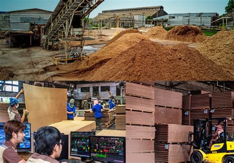 About Us - GREENFIBER Green Fiber | Hardboard from Thailand