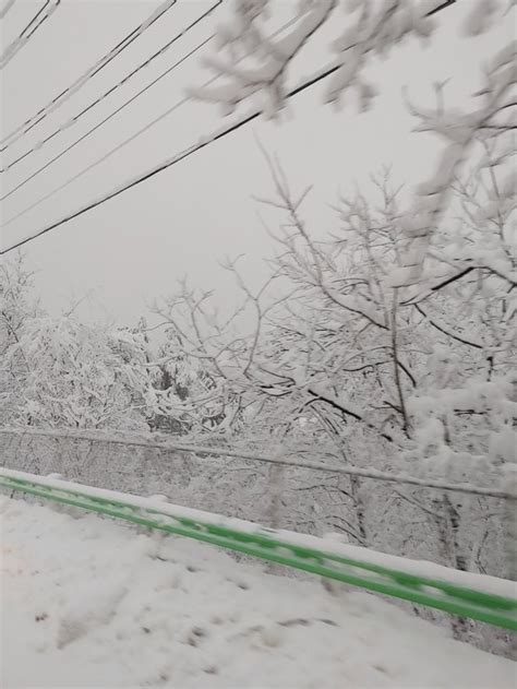 강원 산지 30㎝ 안팎 눈 쌓여내일까지 최대 60㎝ 적설 예보 네이트 뉴스