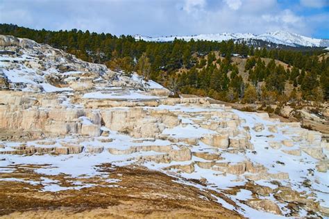 Premium Photo | Snowcovered terraces in winter at yellowstone hot springs