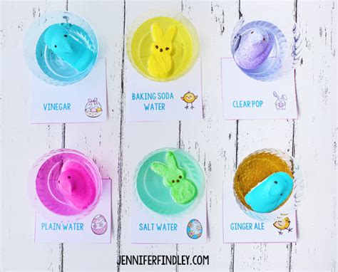 Easter Science Experiment Dissolving Easter Peeps Teaching With